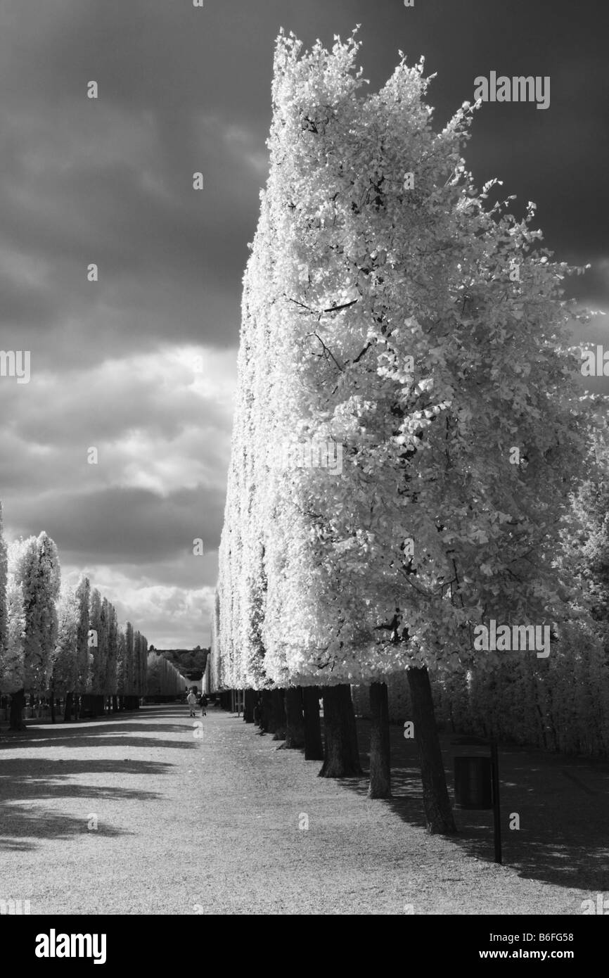 Schloss Schoenbrunn Palace, infrared black and white photo, Vienna, Austria, Europe Stock Photo