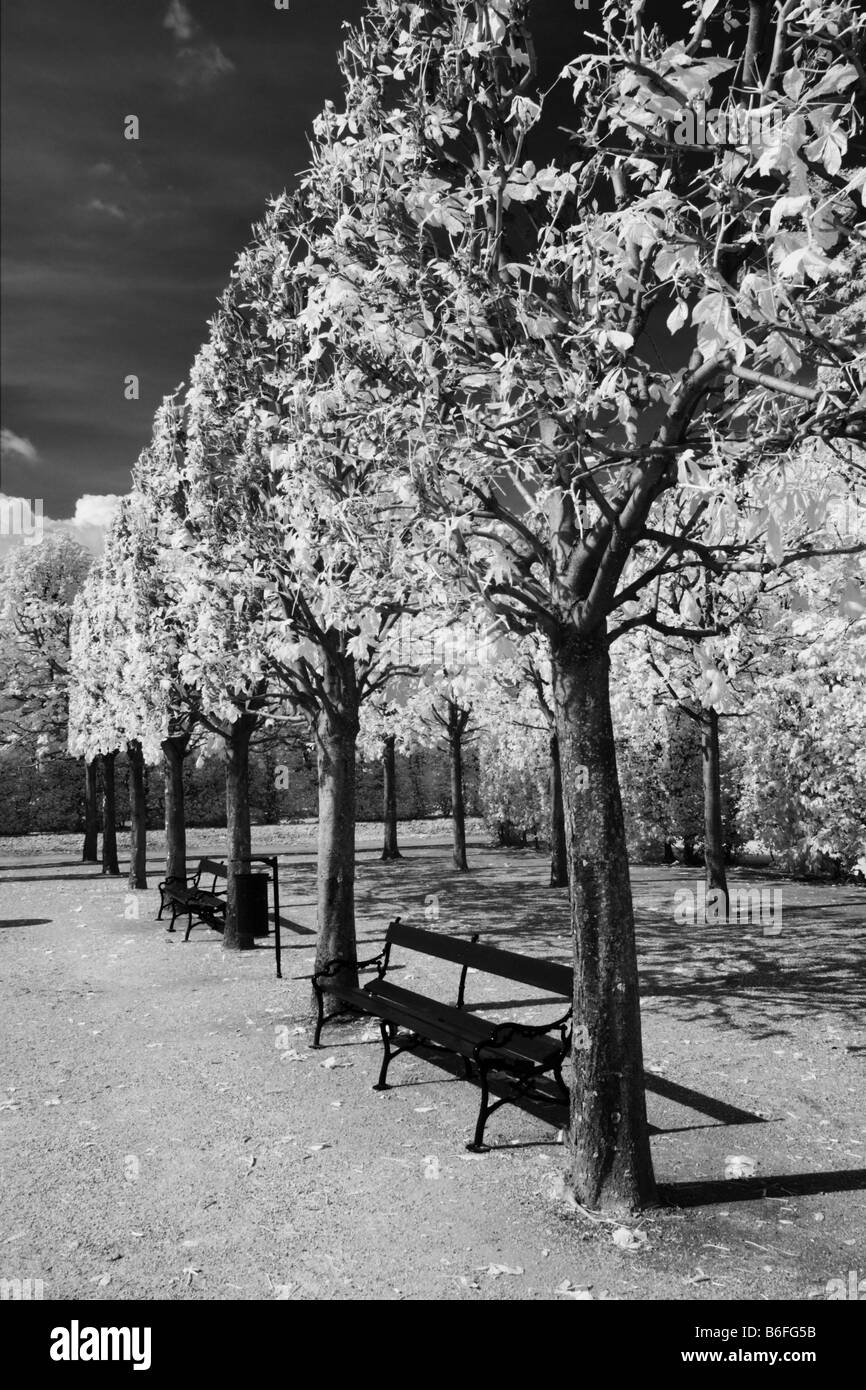 Schloss Schoenbrunn Palace, infrared black and white photo, Vienna, Austria, Europe Stock Photo