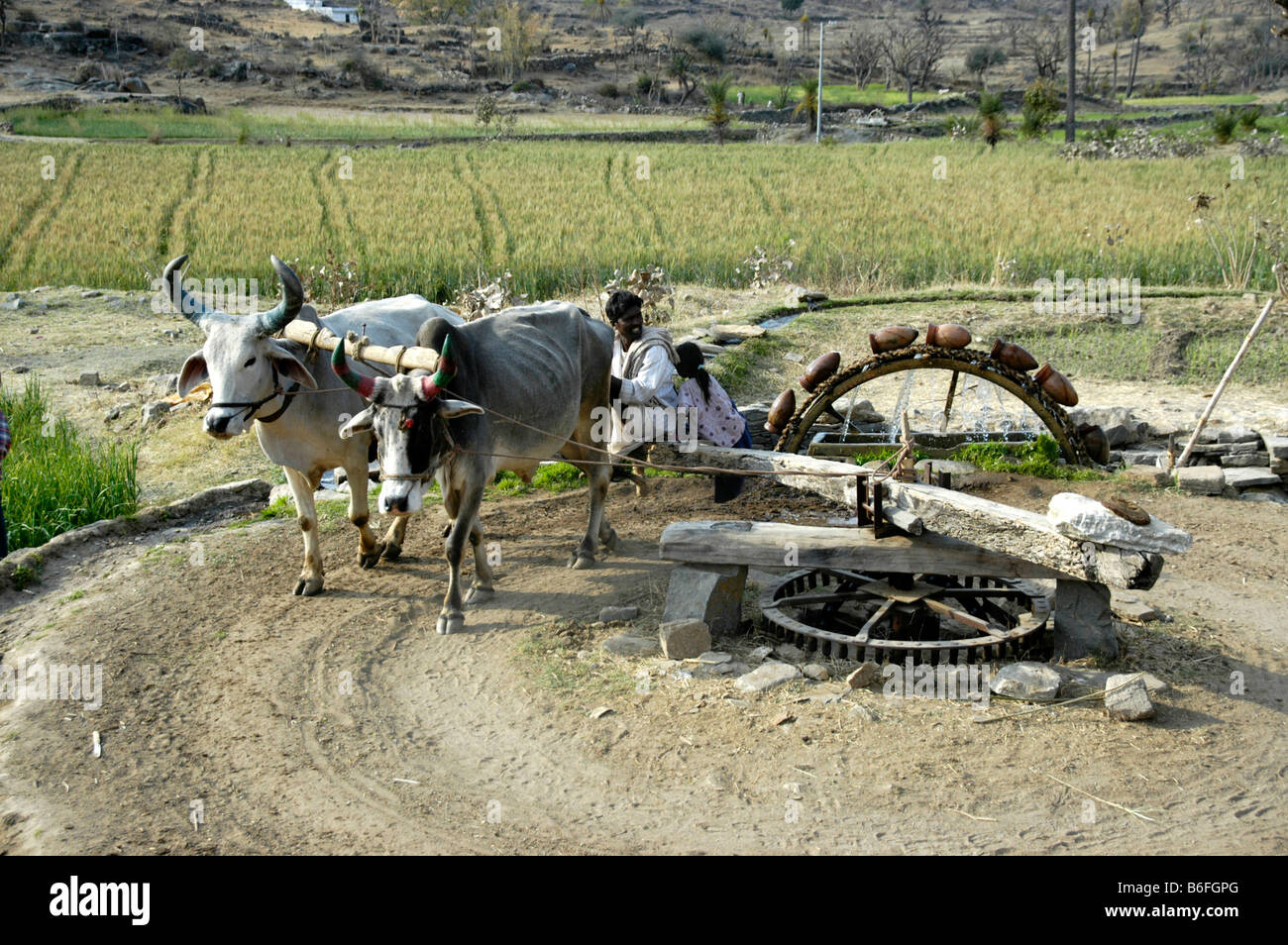 Water Wheel In Kerala