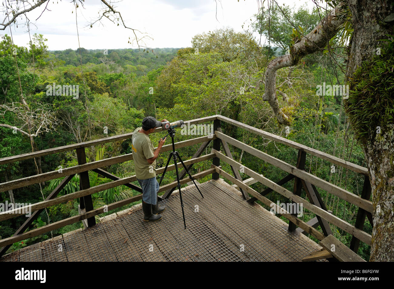 Ornithologists observing birds in the rain forest of Ecuador, South America Stock Photo