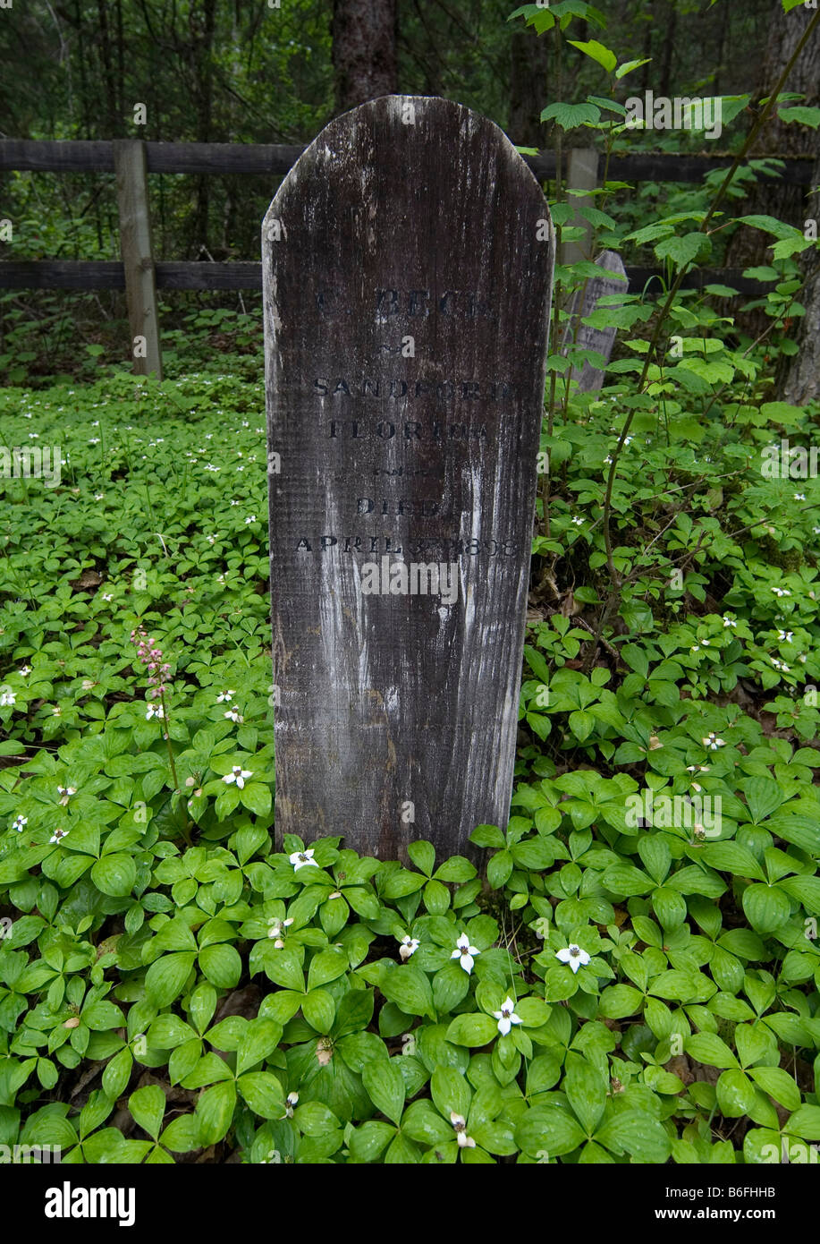 Grave near historic Dyea town side, wooden, weather worn tombstone, board, pacific rain forest, Klondike Gold Rush, Chilkoot Tr Stock Photo
