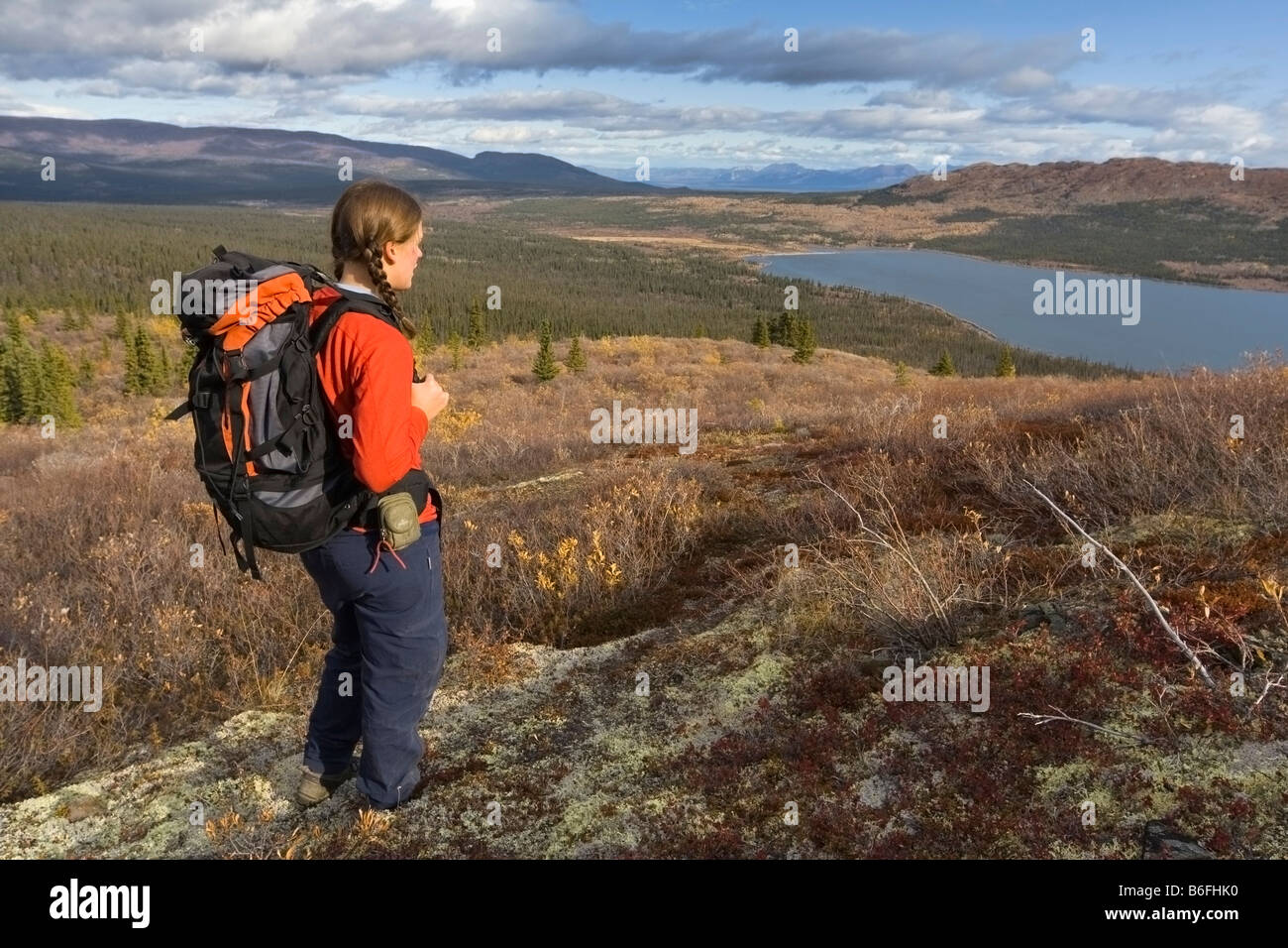 Young woman hiking, backpacking, alpine tundra, Fish Lake behind, fall colors, Yukon Territory, Canada, North America Stock Photo