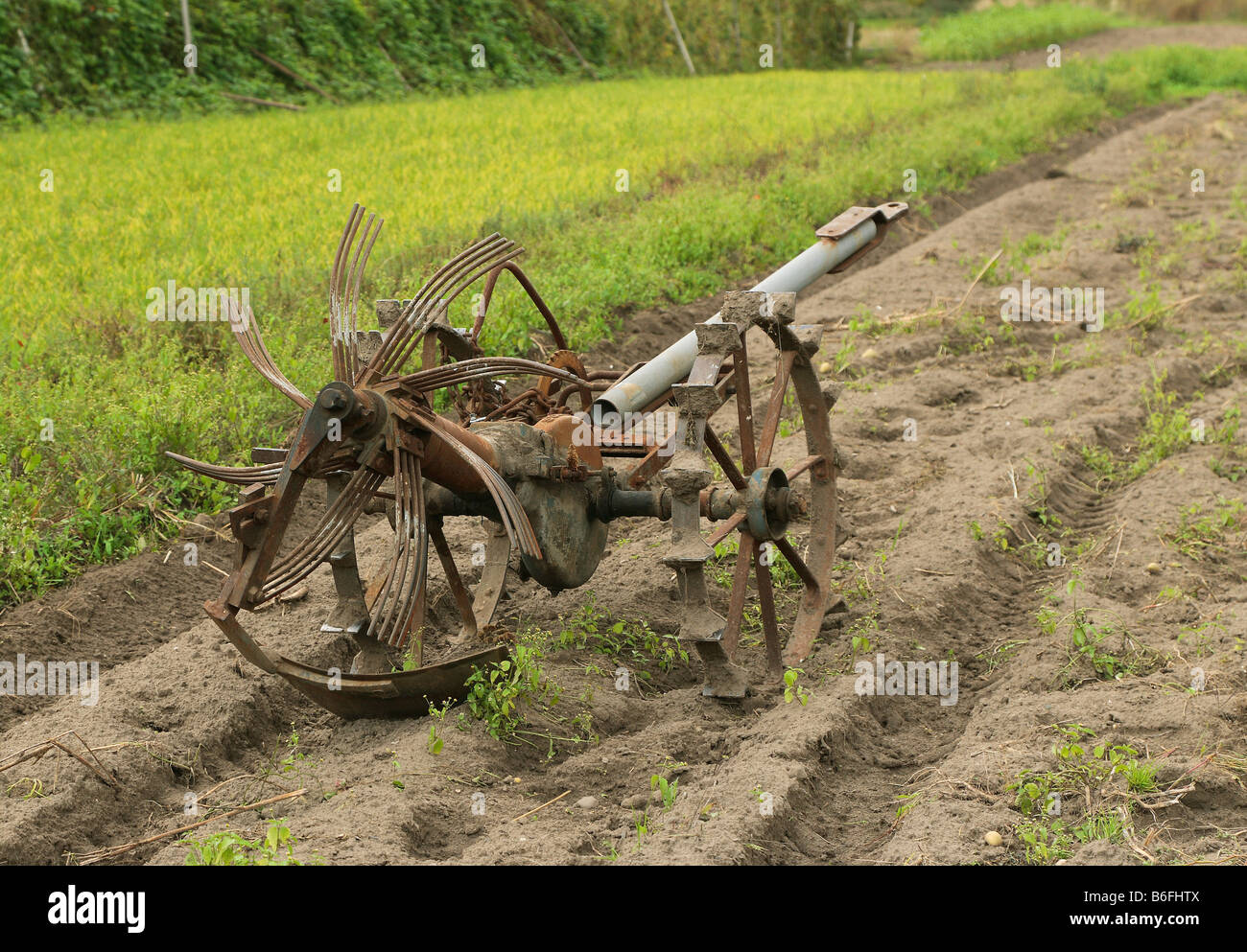 Old hay turning machine, Niederwerth, Rhineland-Palatinate, Germany, Europe Stock Photo