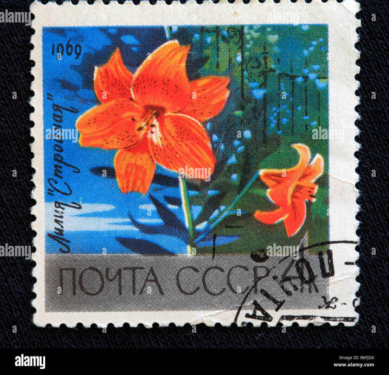 Tiger Lily (Lilium tigrinum, Lilium lancifolium), postage stamp, USSR, 1969 Stock Photo