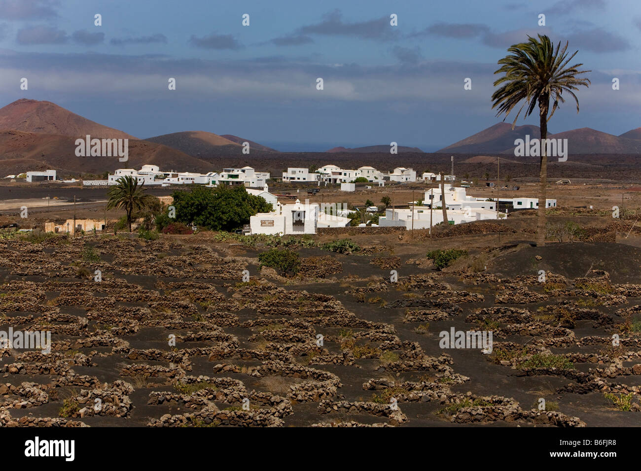 Winegrowing in lava field near Yaiza, Lanzarote, Canary Islands, Spain, Europe Stock Photo