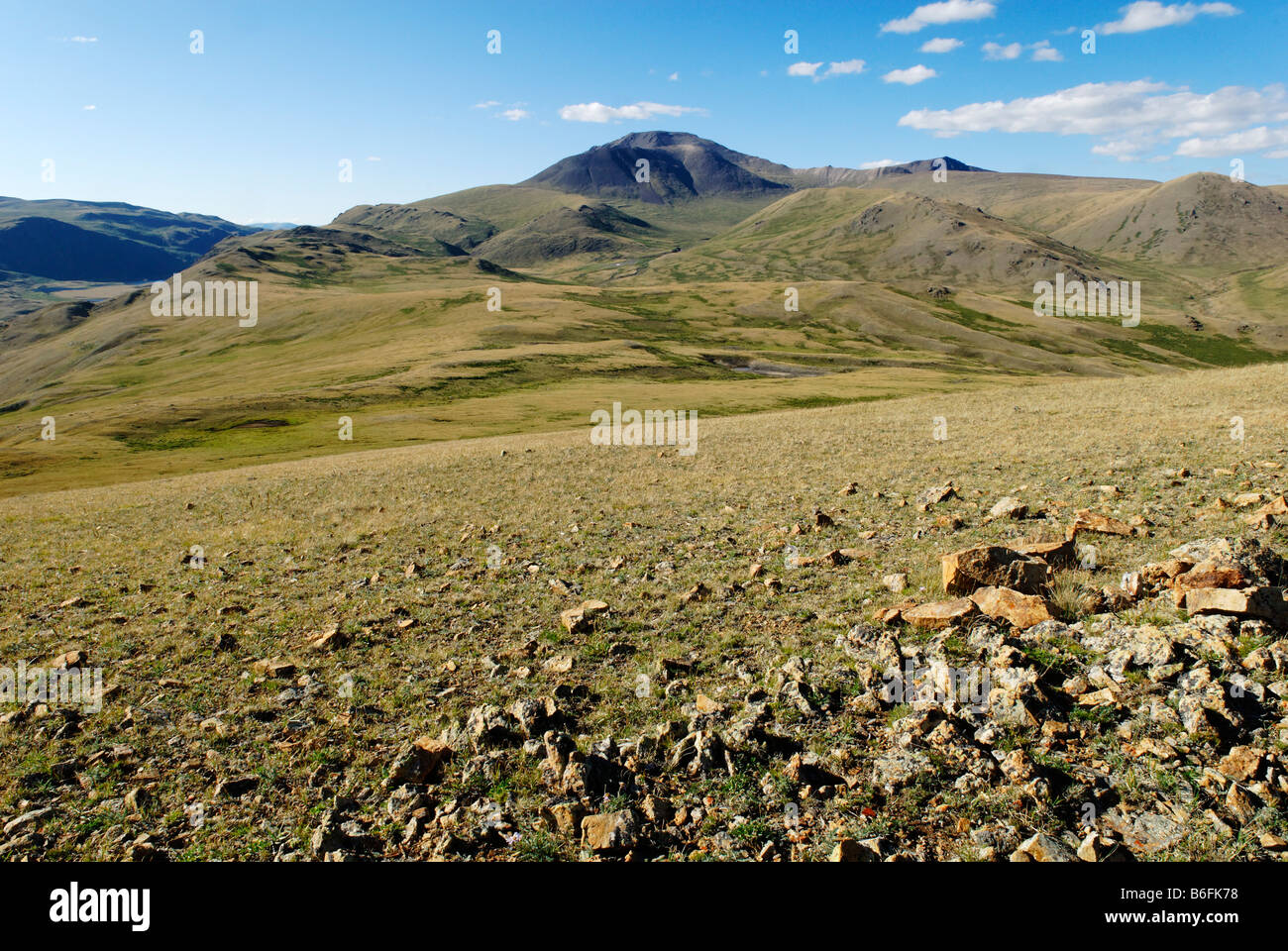 Expansive grasslands, Saylyugem Mountains, Tschuja Steppes, Altai Republic, Siberia, Russia, Asia Stock Photo
