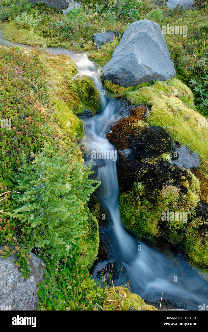 Mountain stream on the eastern flank of Mount Hood volcano, Cascade ...