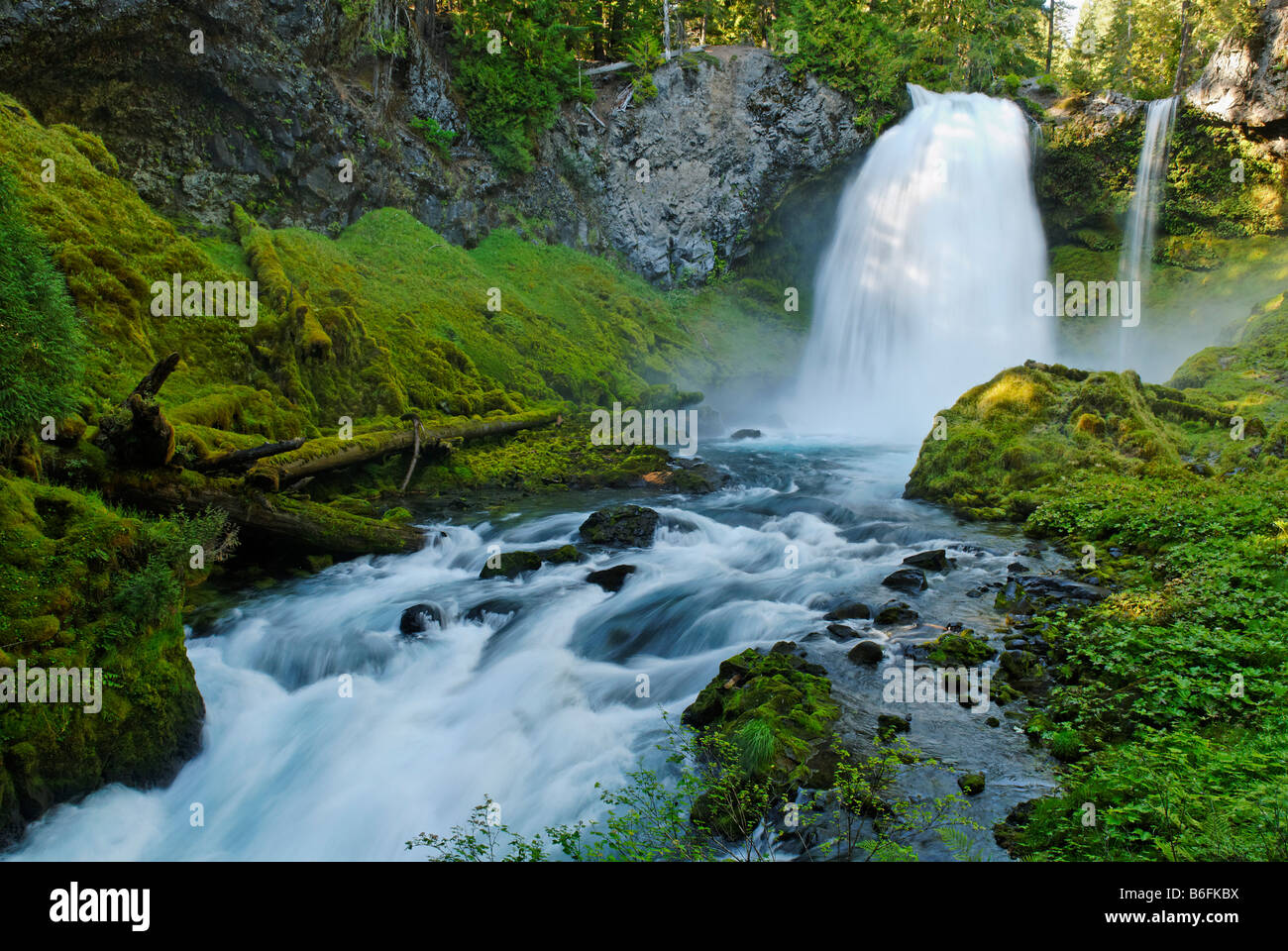 Sahalie Falls on the McKenzie River, Cascade Range, Oregon, USA Stock Photo