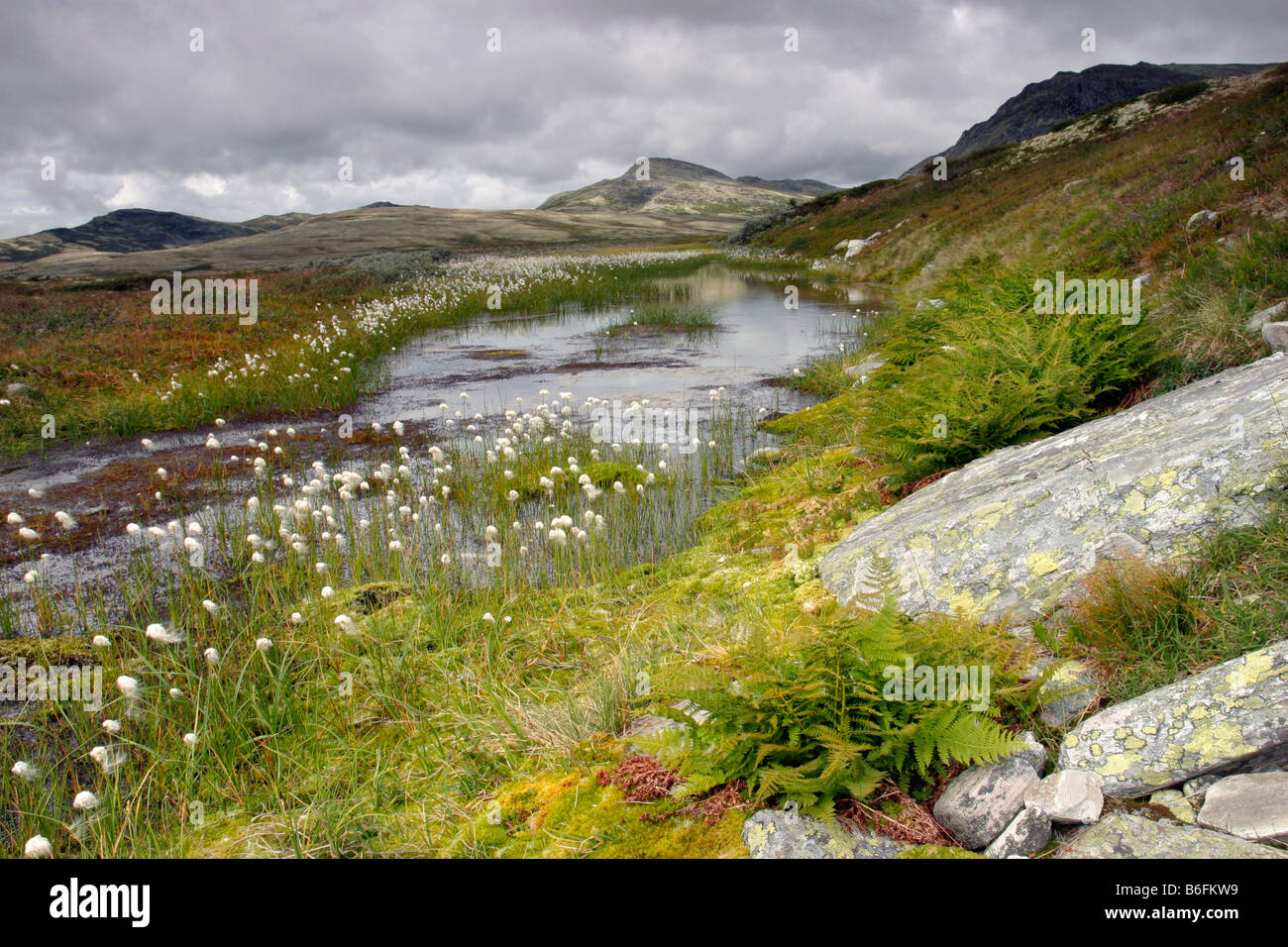 High Resolution Rondane Rondane Nationalpark High Resolution Stock Photography and Images - Alamy