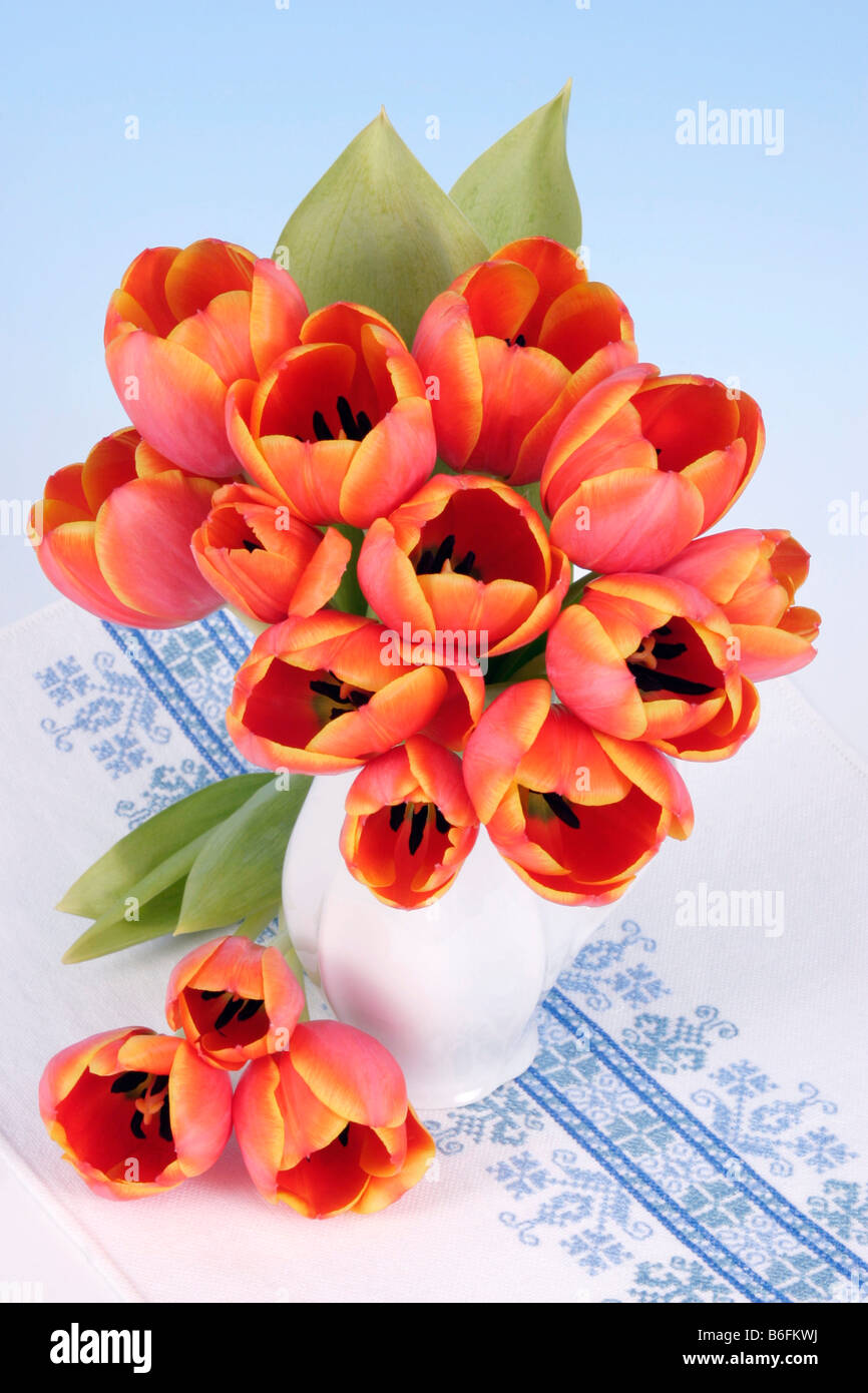 Shot bouquet red tulips hi-res stock photography and images - Alamy