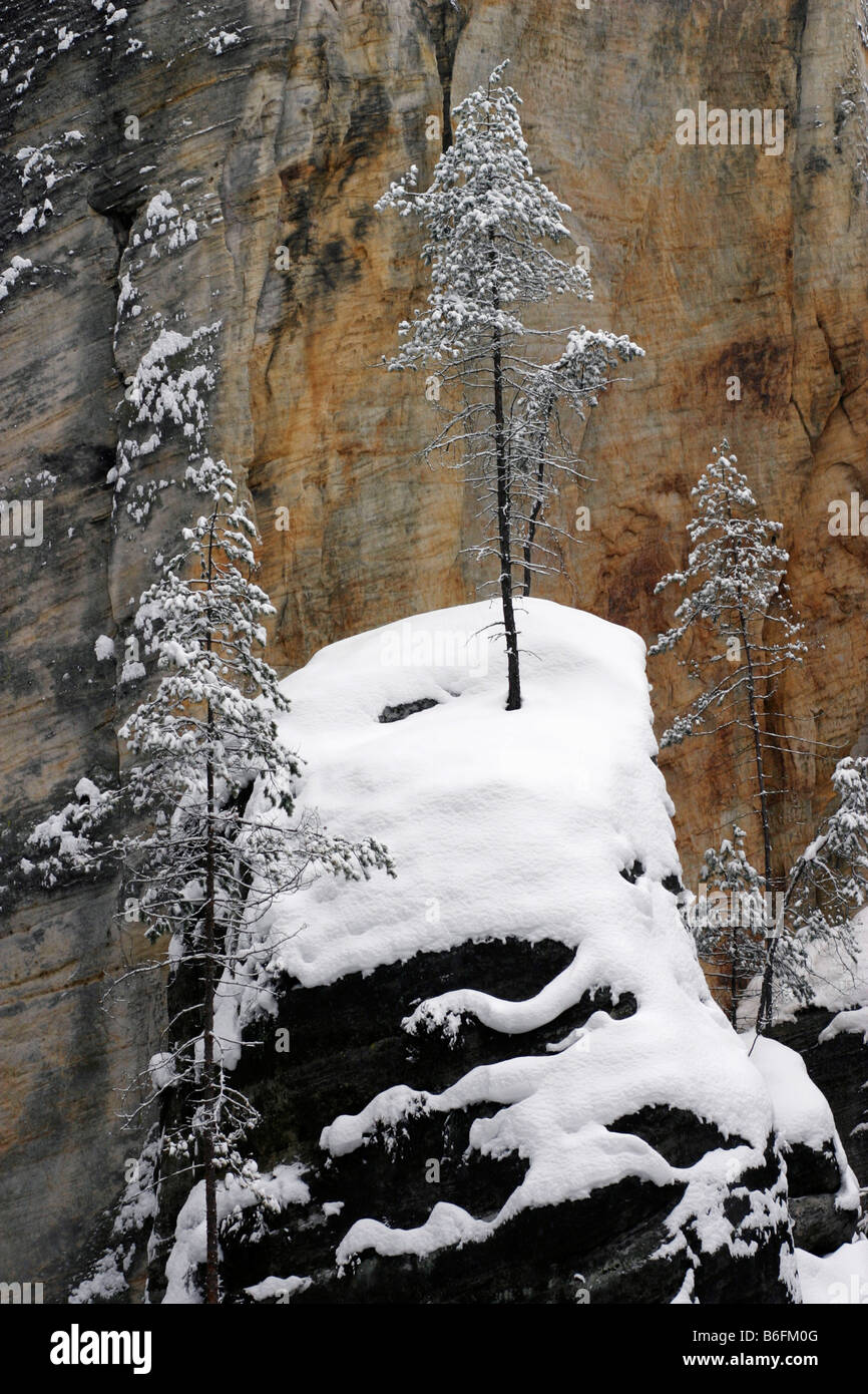 Adrspach rocks, Adspasske skaly, Broumovsko protected landscape area, Czech Republic, Europe Stock Photo