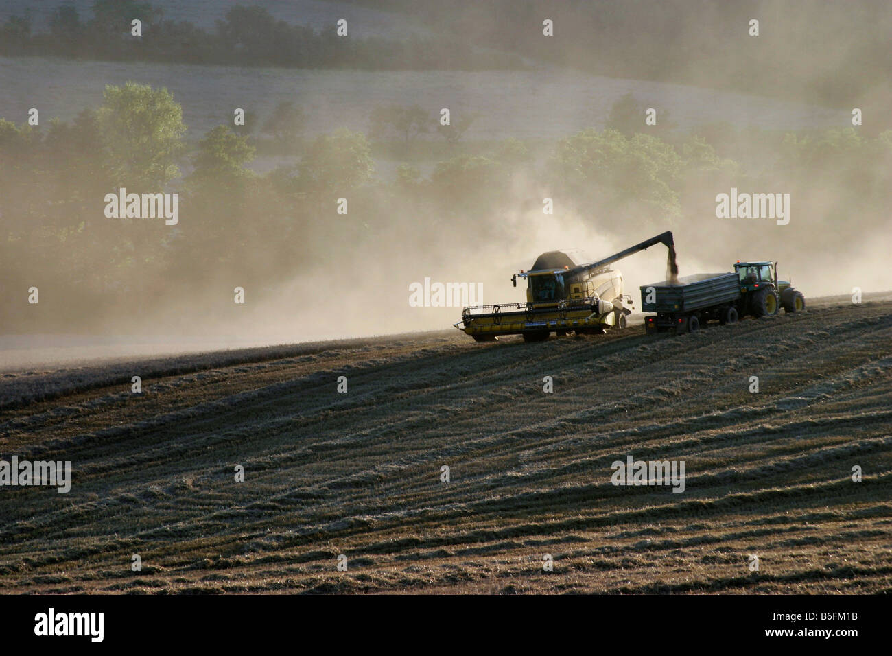 Harvest-time, Jevisovice, Znojmo district, South Moravia, Czech Republic, Europe Stock Photo