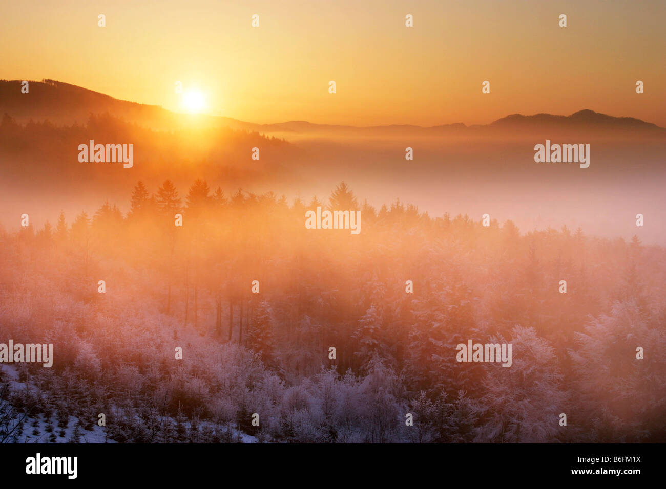 Morning on Kyjanica, White Carpathian Mountains, protected landscape area, Bile Karpaty, Czech Republic, Europe Stock Photo