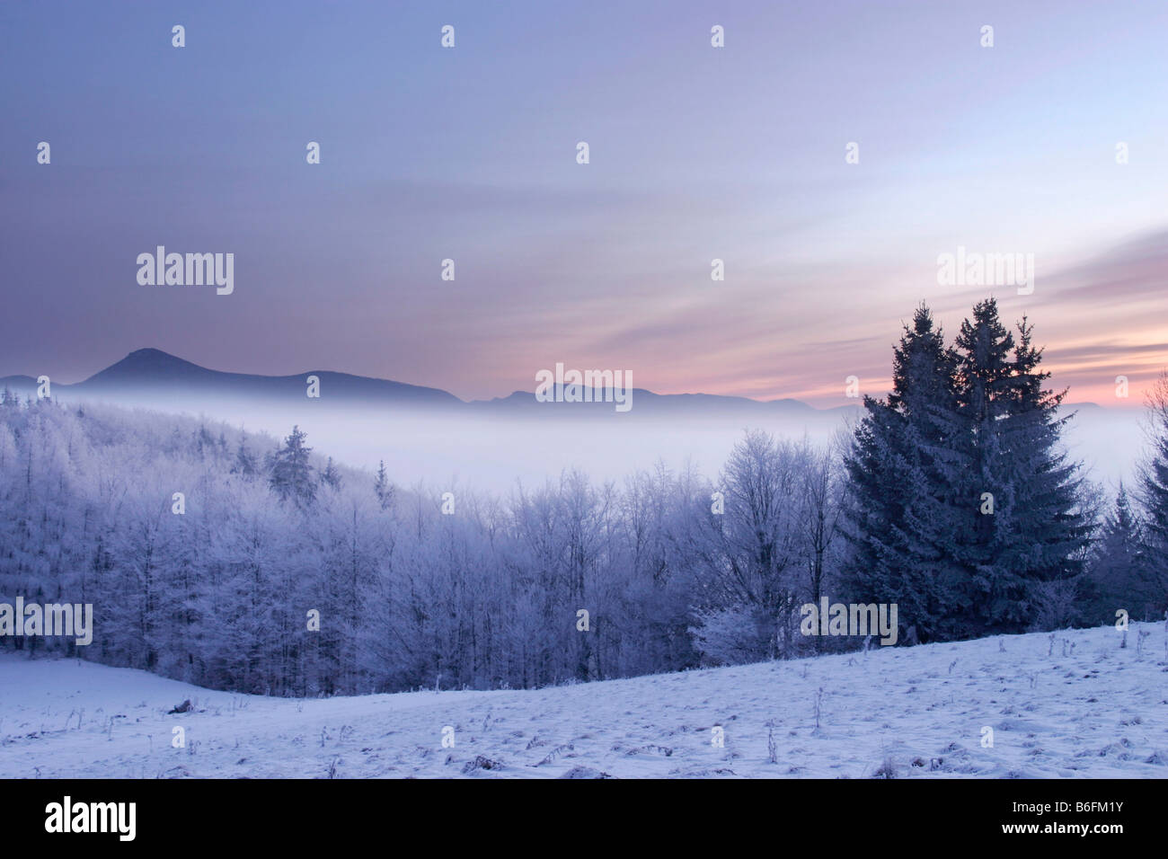Morning on Kremeniste hill, Strazovske vrchy protected landscape area, Slovakia, Europe Stock Photo