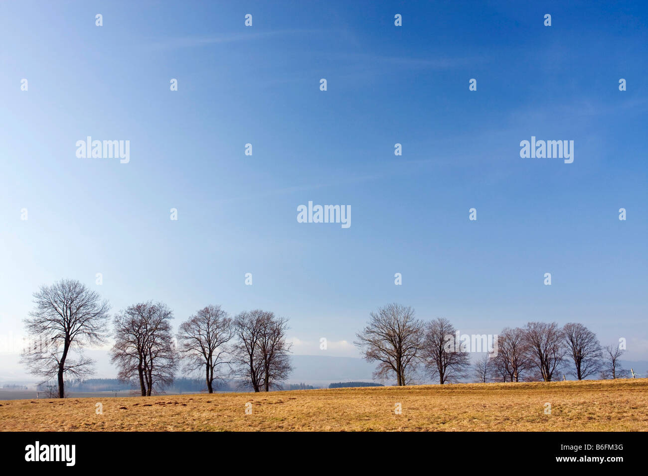 Early spring landscape in Sonov, Nachod district, East Bohemia, Czech Republic, Europe Stock Photo
