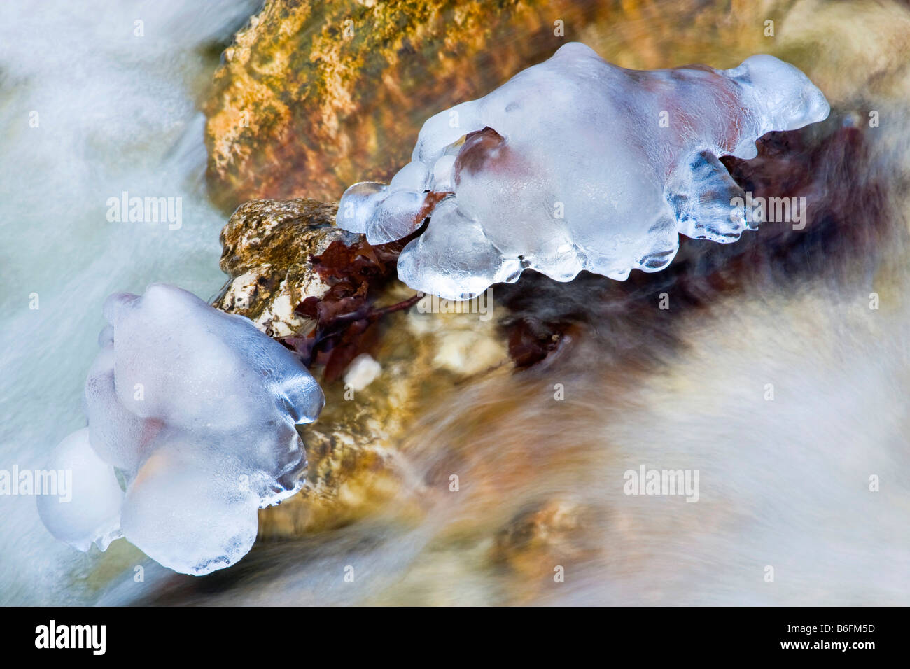Winter brook and icicles in the Horne Diery canyon, Mala Fatra National Park, Slovakia, Europe Stock Photo