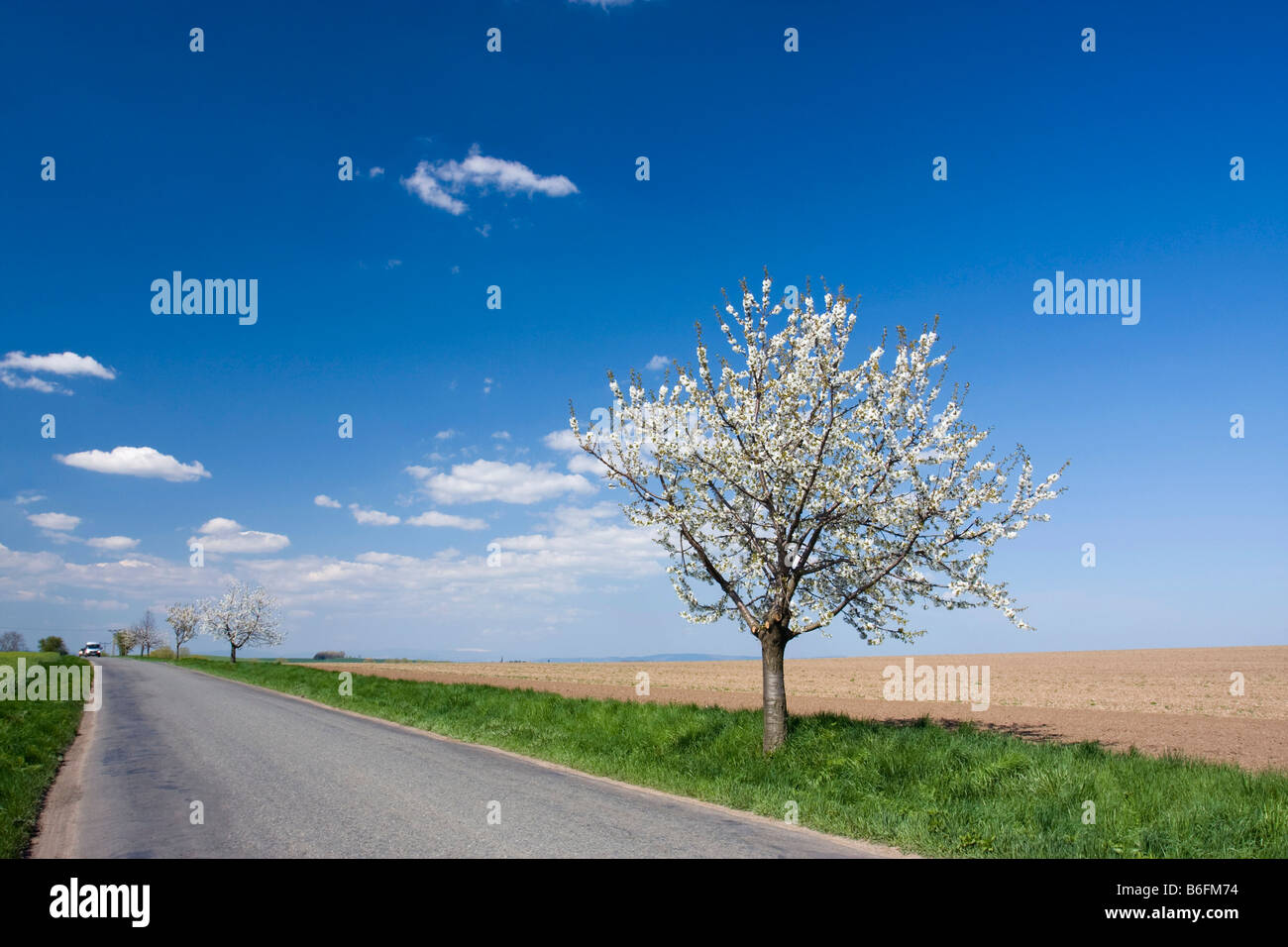 Spring landscape near Hnevotin, Moravia, Czech Republic, Europe Stock Photo