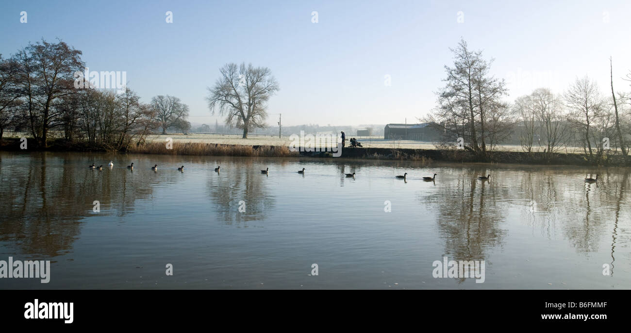 An early morning angler and geese, The river Thames, Wallingford, Oxfordshire Stock Photo