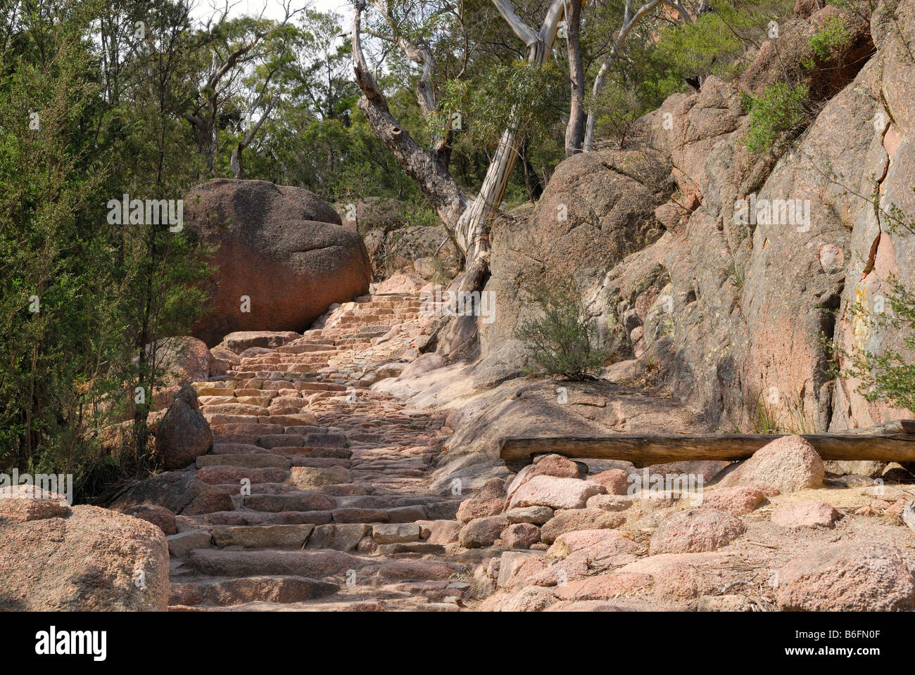Footpath with stone steps through the red granite rocks of the Hazards Range, Freycinet Peninsula, Tasmania, Australia Stock Photo