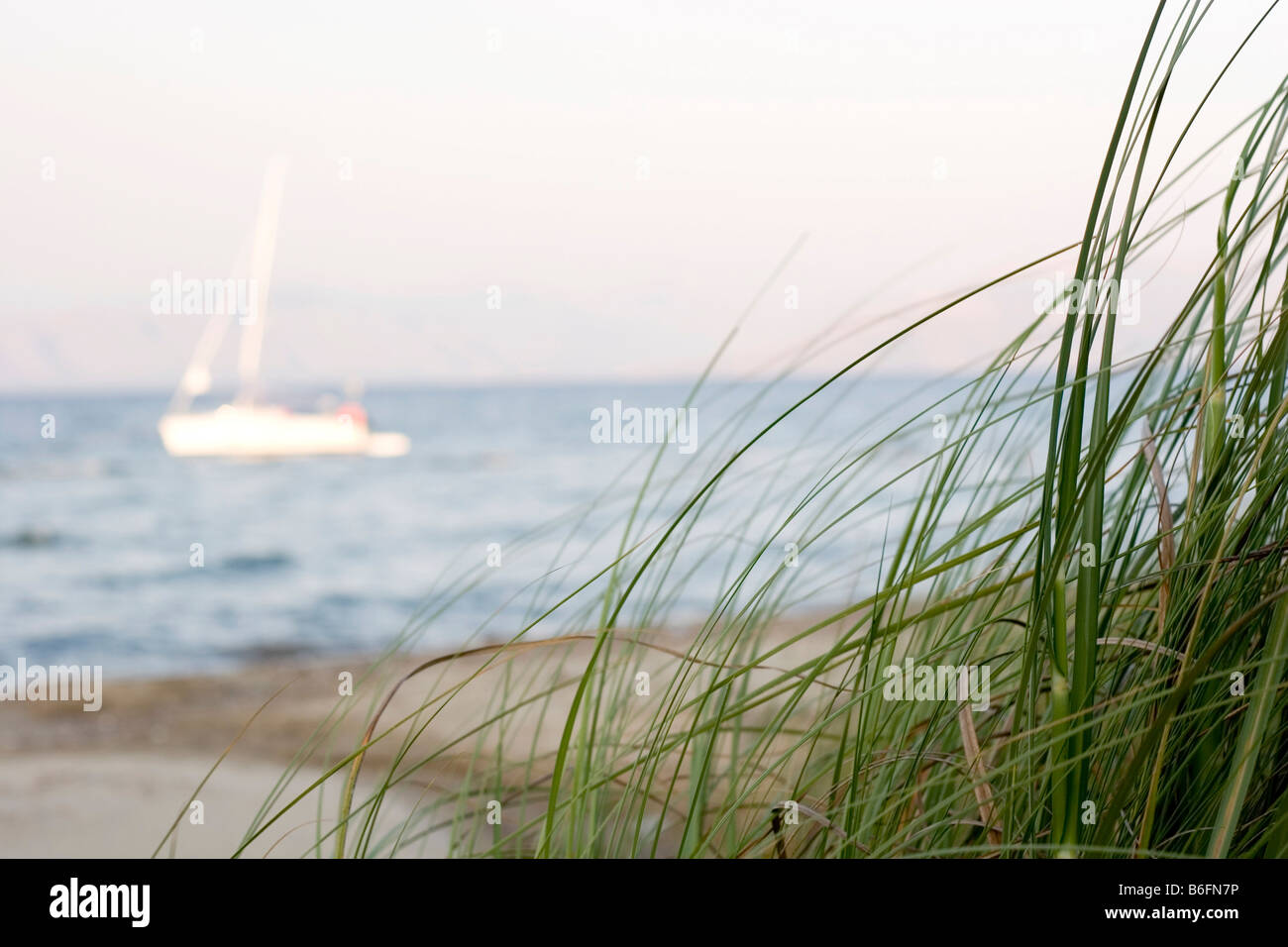 Dune grass on the beach and a yacht in the back Stock Photo