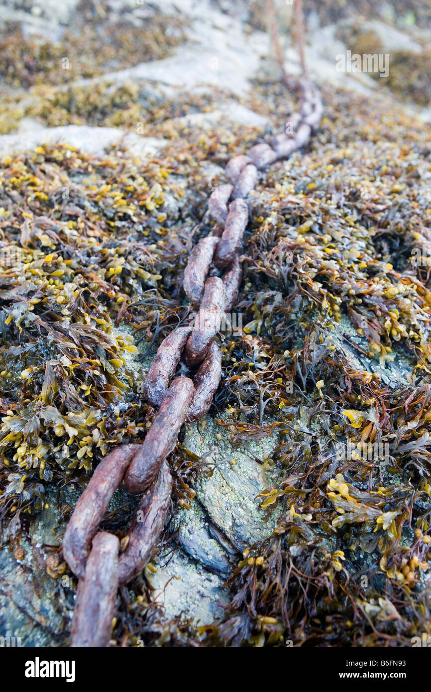 Rusty anchor chain on a beach, overgrown with algae and mussels Stock Photo