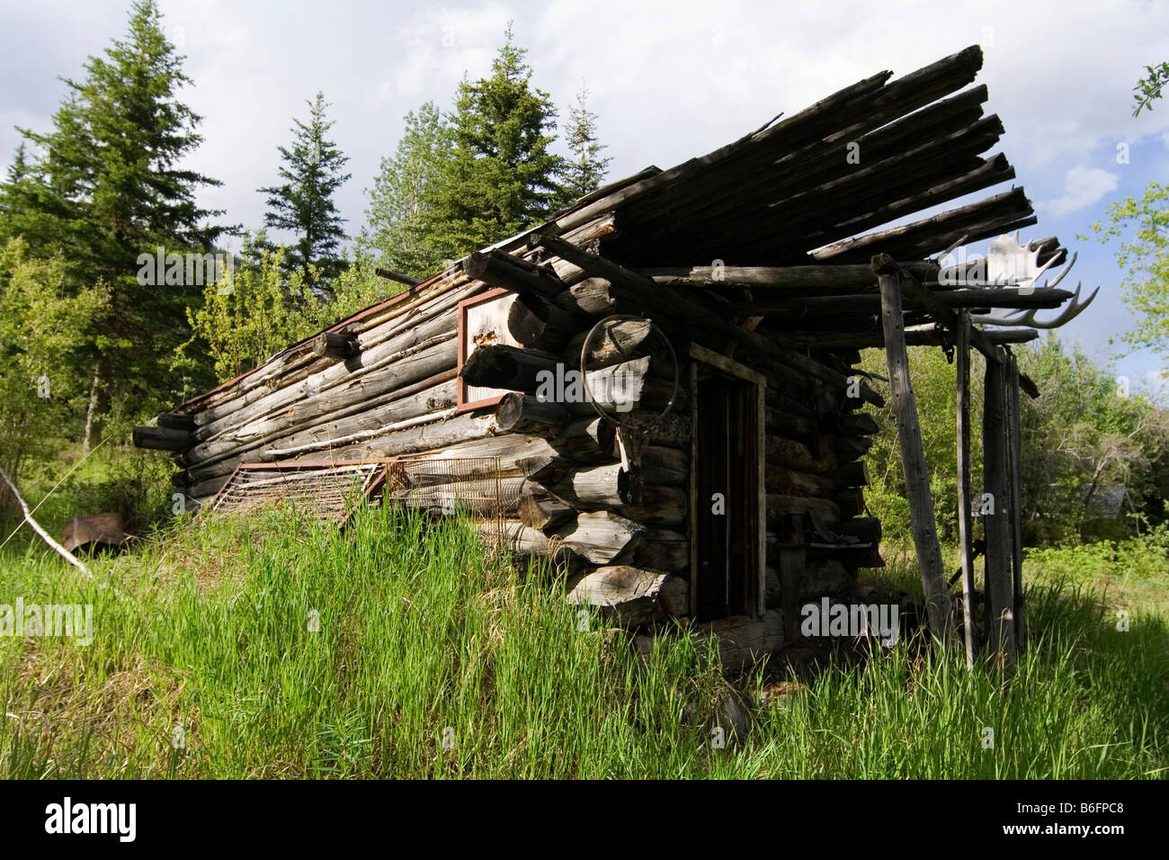 Old log building, trappers cabin, Hootalinqua, Yukon Territory, Canada, North America Stock Photo