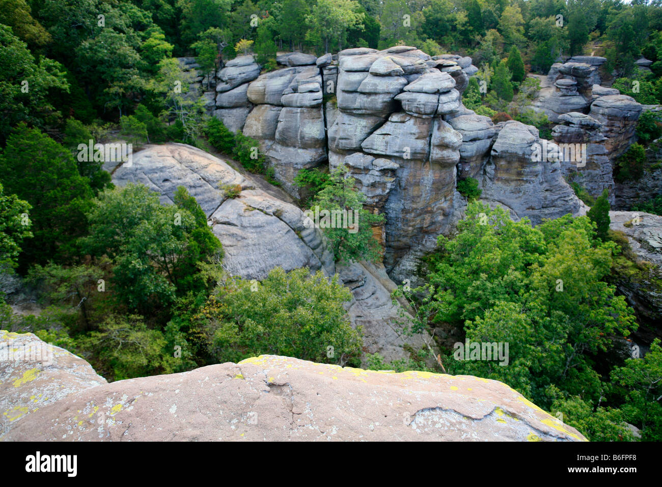 Sandstone rocks in the Garden of the Gods, Shawnee National Forest