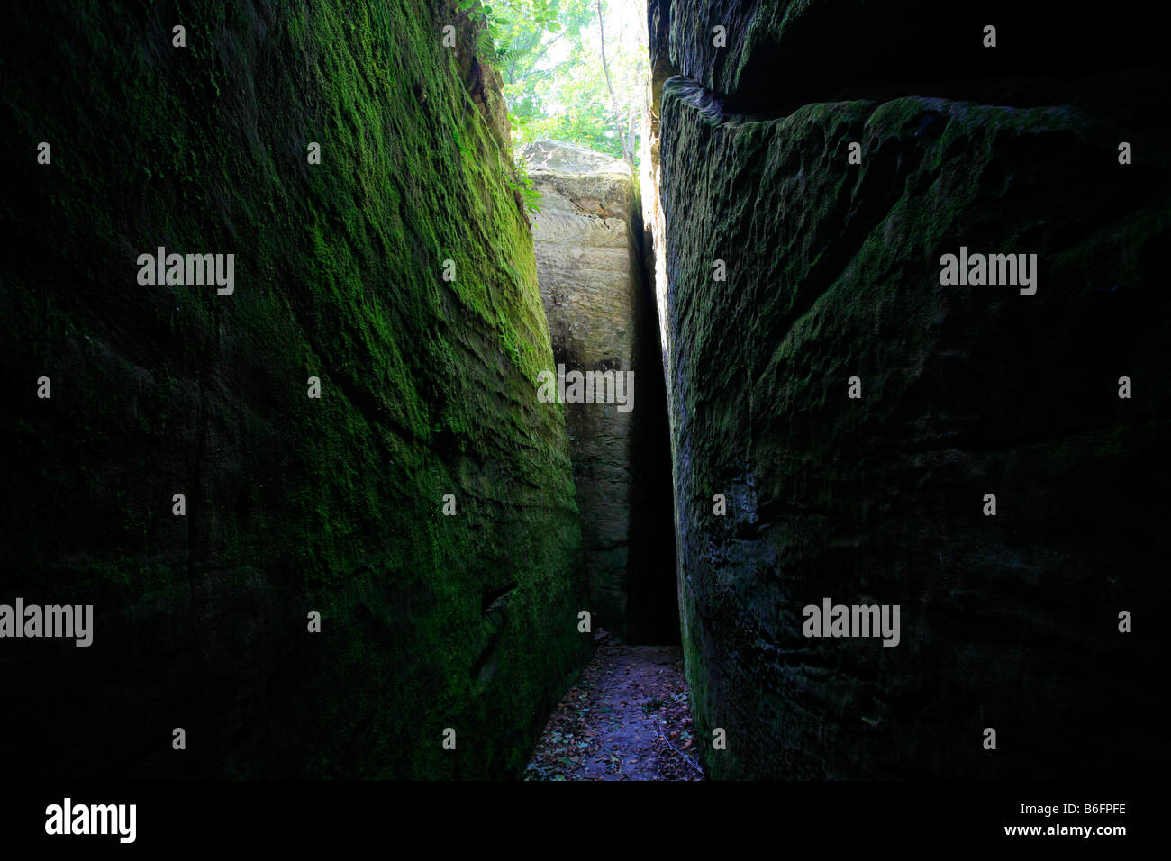 Steep sandstone formations and narrow fissures in the Rim Rock Trail, a hiking tour in the Shawnee National Forest, Illinois, U Stock Photo