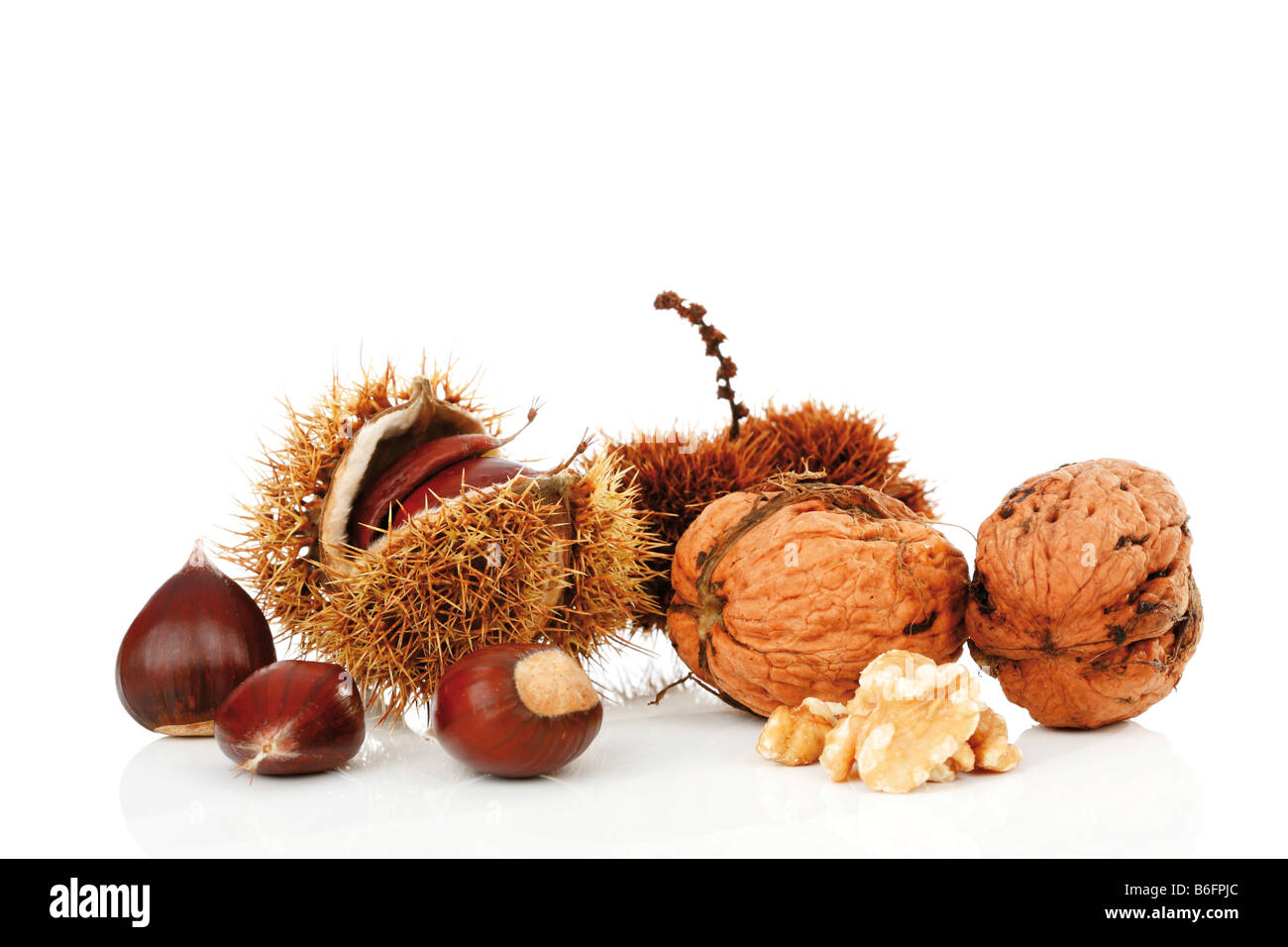 Persian Walnuts (Juglans regia) and Chestnuts (Castanea) Stock Photo