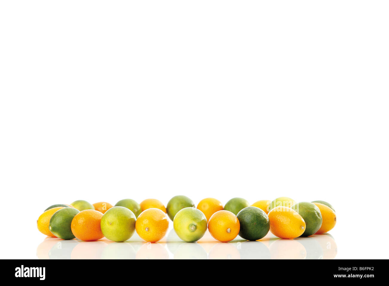 Kumquats or Cumquats (Fortunella) and Limequat (Citrus x floridana), in a circle Stock Photo