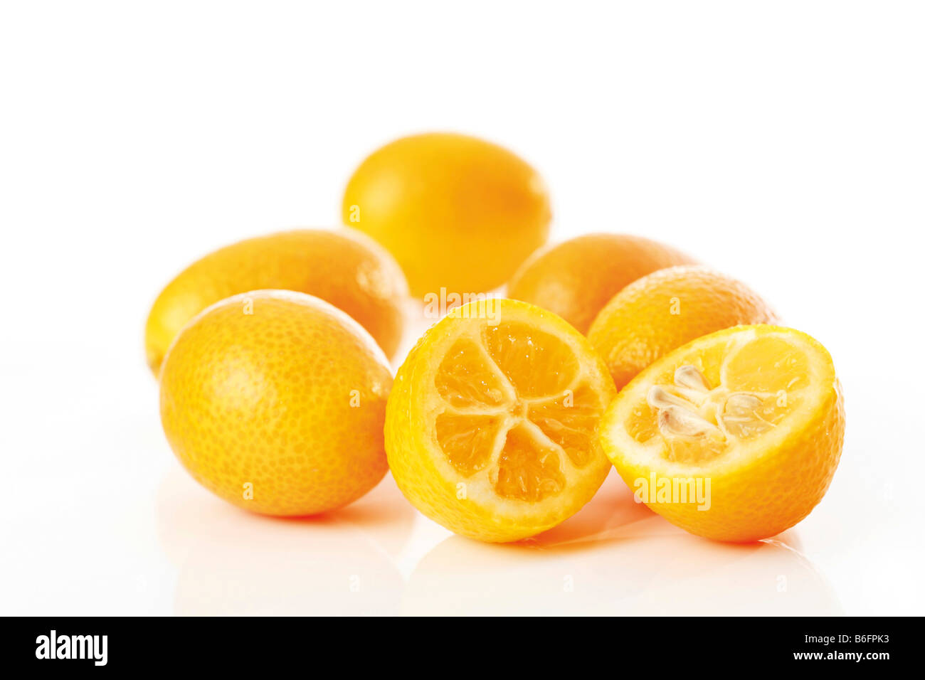 Kumquats or Cumquats (Fortunella), citrus fruit Stock Photo
