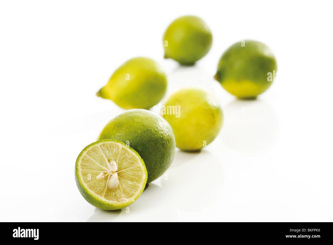 Limequat (Citrus x floridana) Stock Photo