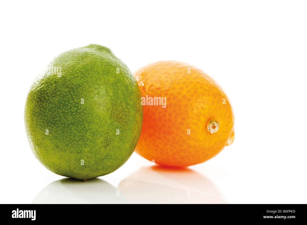 Kumquats or Cumquats (Fortunella) and Limequat (Citrus x floridana) Stock Photo