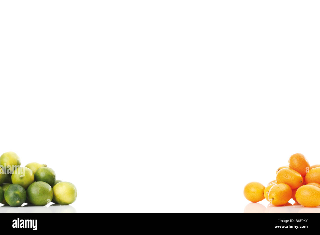 Kumquats or Cumquats (Fortunella) and Limequat (Citrus x floridana) Stock Photo