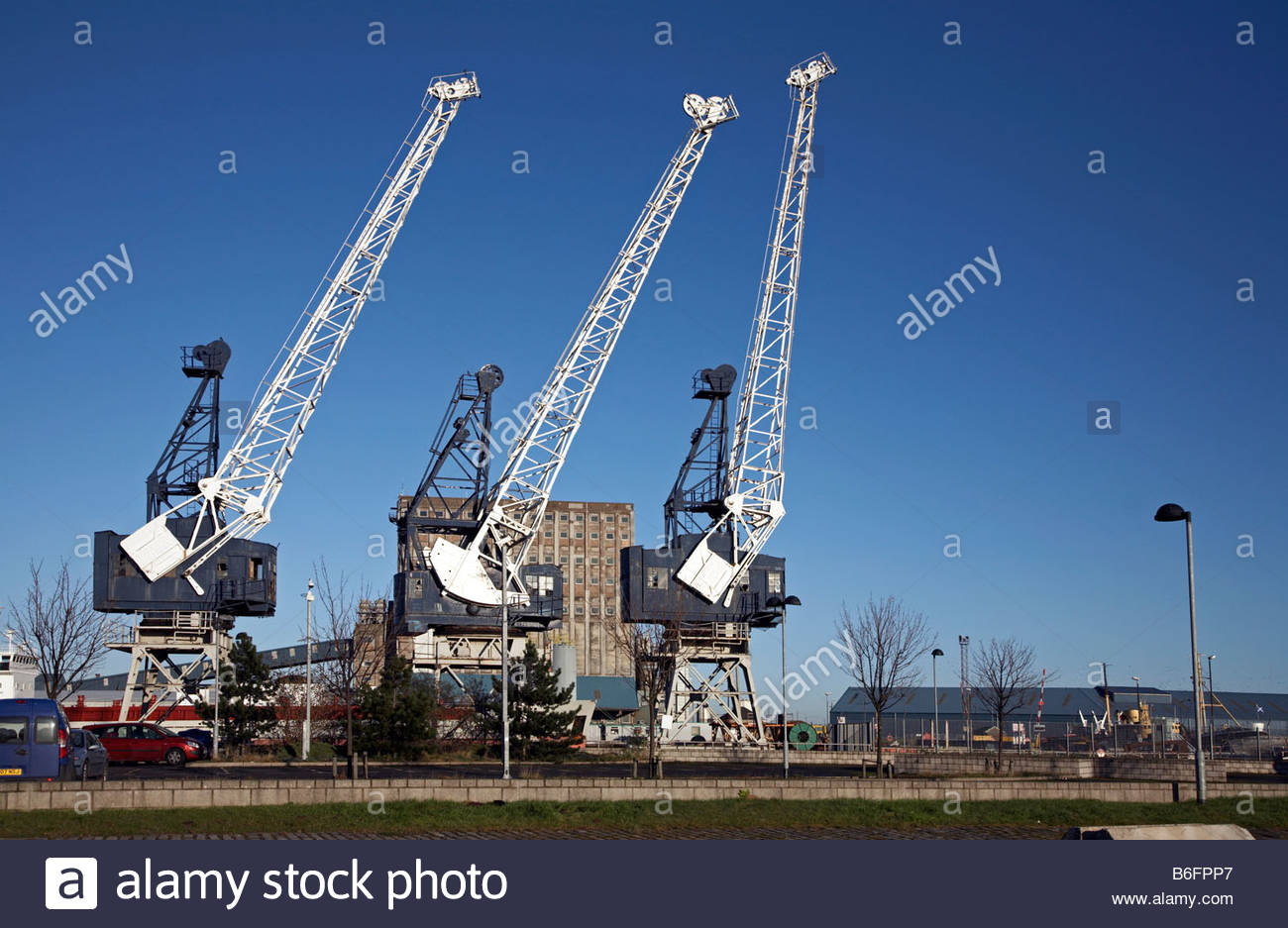 Three cranes, Leith Edinburgh Scotland Stock Photo