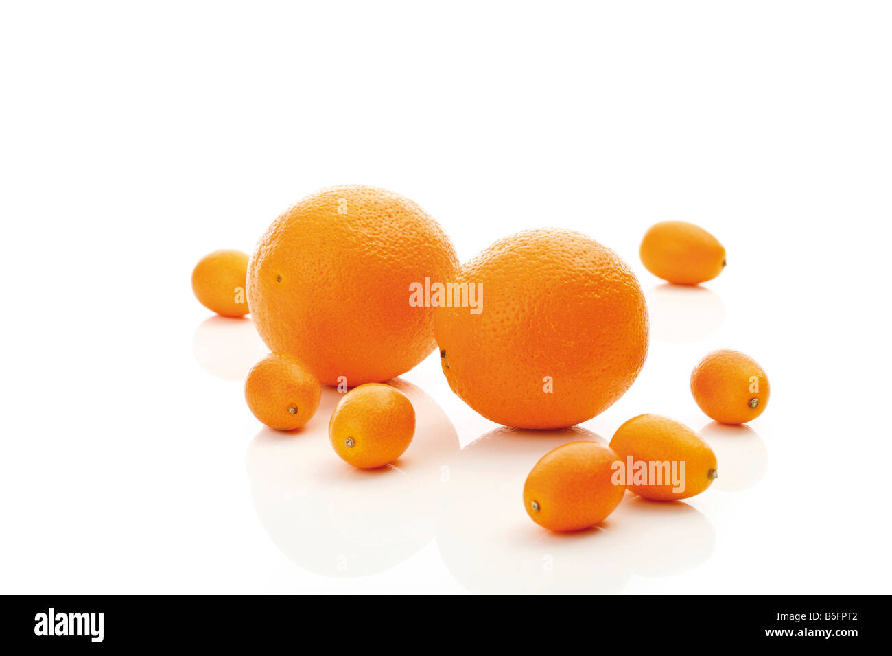 Oranges and cumquats, citrus fruits Stock Photo