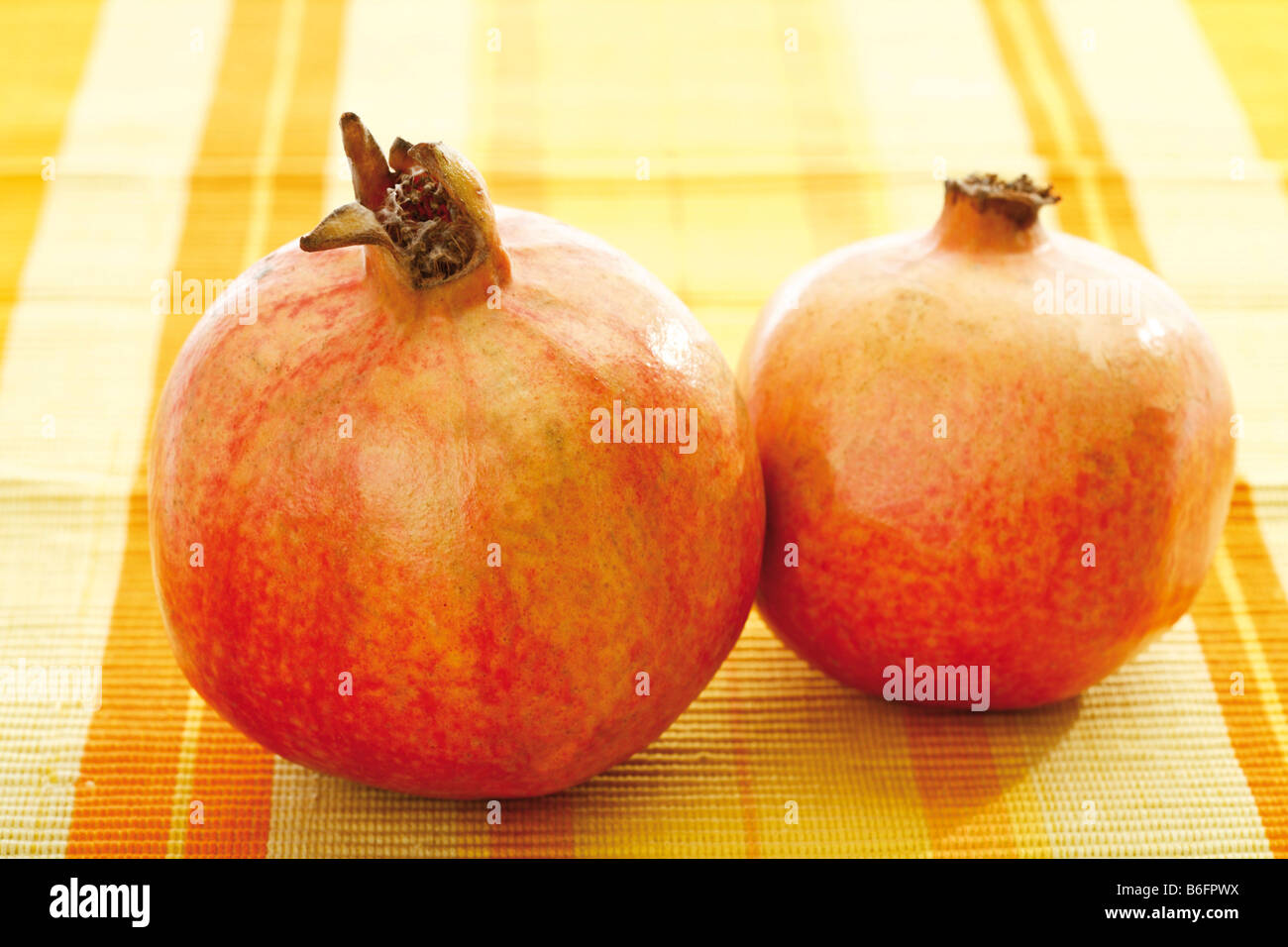 Pomegranates (Punica granatum) Stock Photo
