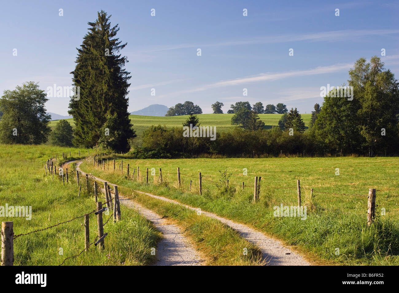 Country lane near Penzberg, Upper Bavaria, Germany, Europe Stock Photo