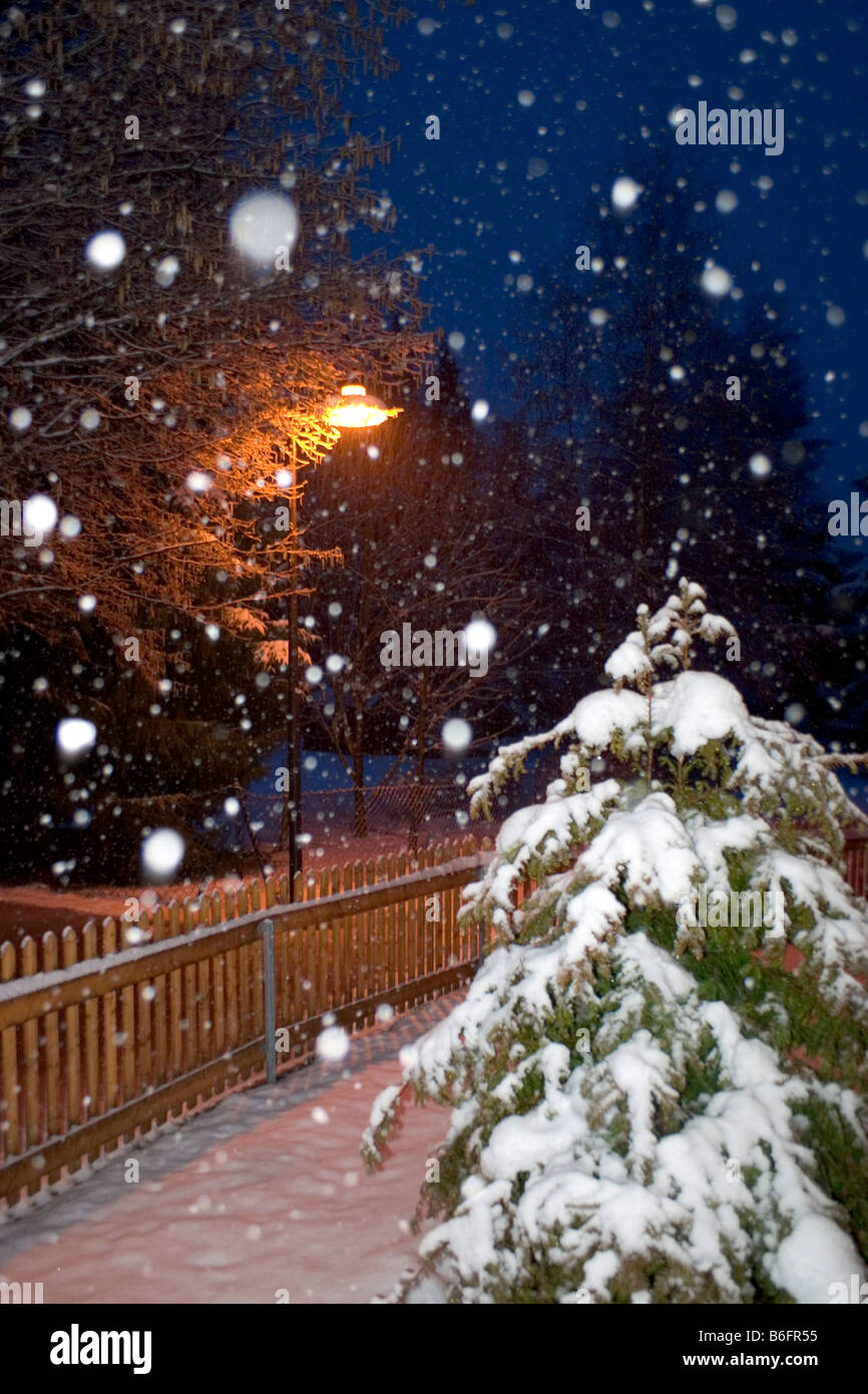 Snowfall in a garden by night, Christmas, Bavaria, Germany, Europe Stock Photo