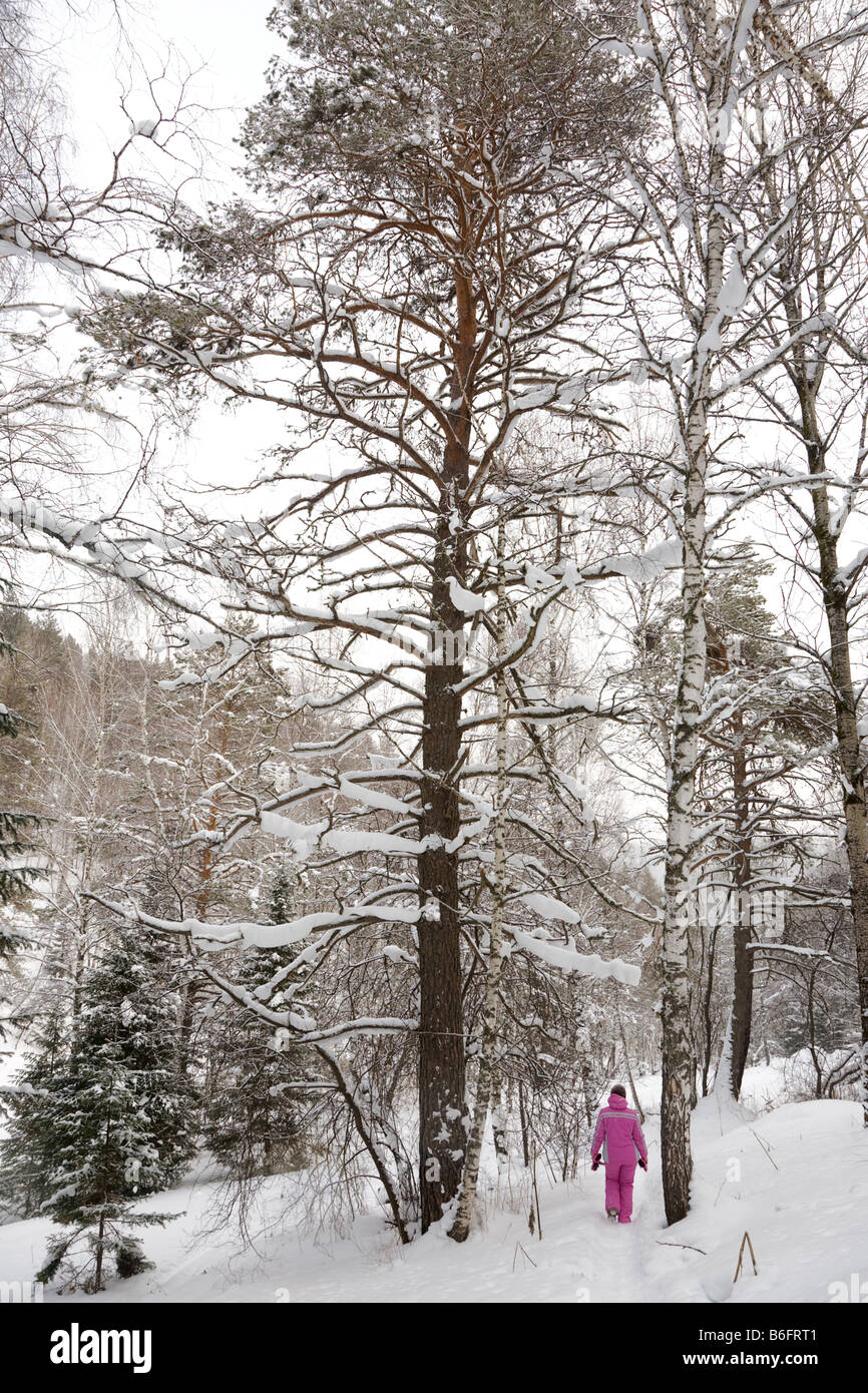 White winter snow landscape hi-res stock photography and images - Alamy