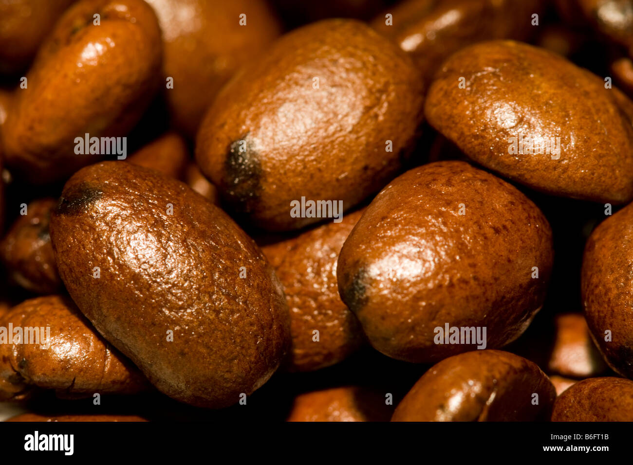 Macro Image of Medium Roast Arabica Coffee Beans Stock Photo