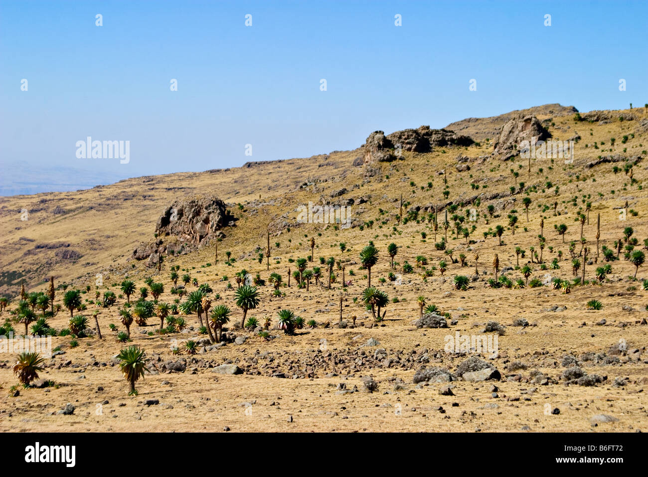 Simien Mountains National Park, Ethiopia, Africa Stock Photo