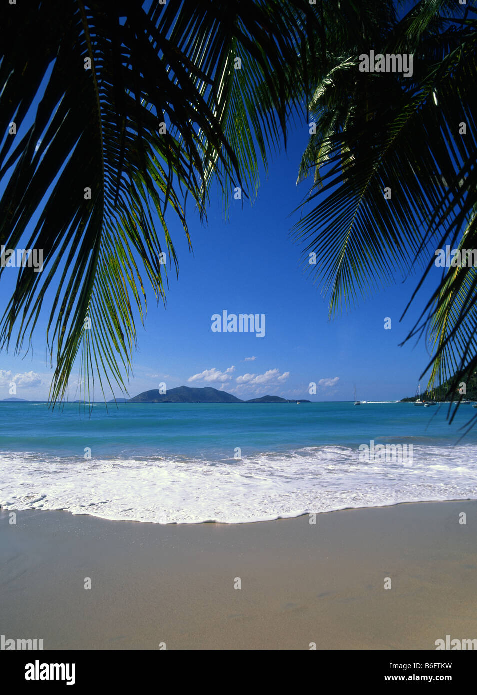 Palm tree leaves overhang fine clean sandy holiday beach washed by surf from turquoise sea tropical Cane Garden Bay beach British Virgin Islands Stock Photo