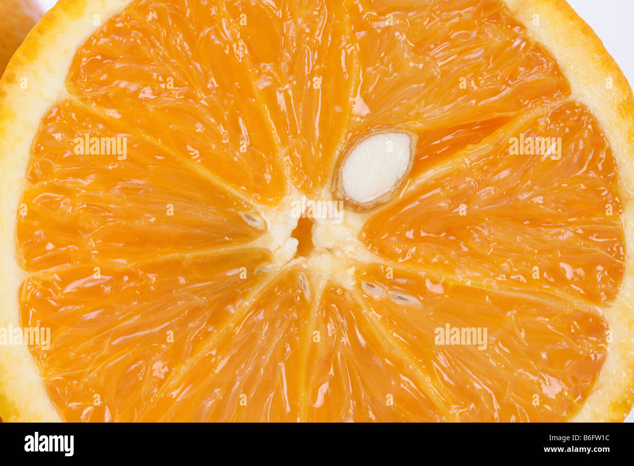 Orange slice close up citrics hi-res stock photography and images - Alamy