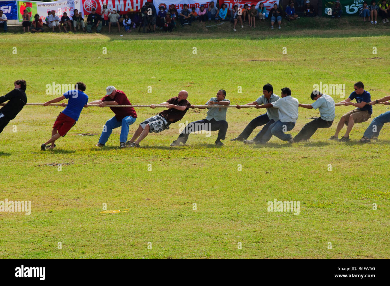 tug of war competition at the Surin Elephant Roundup in Thailand Stock ...