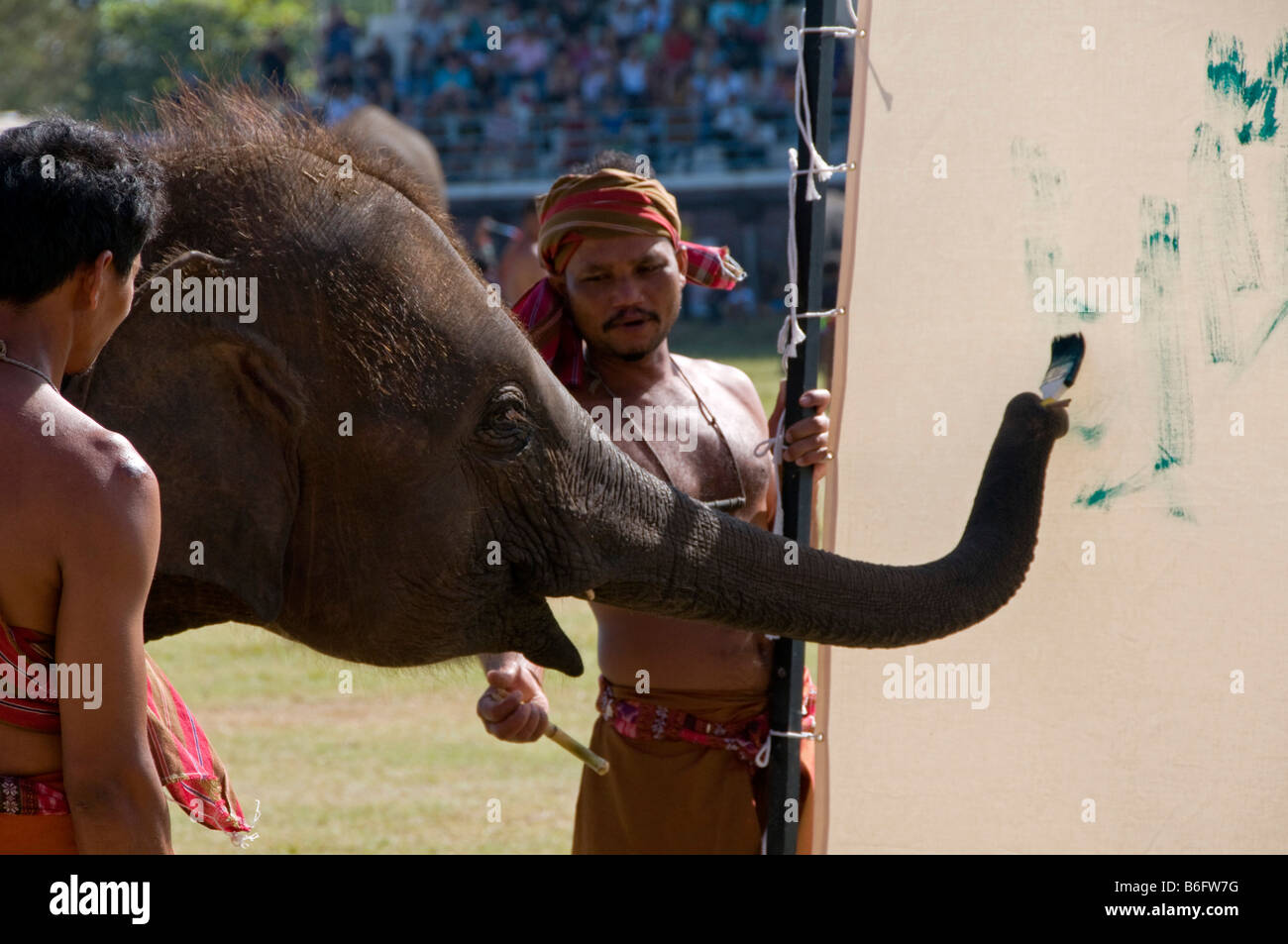 elephant paints a picture at the Surin Elephant Fair in Thailand Stock Photo Alamy