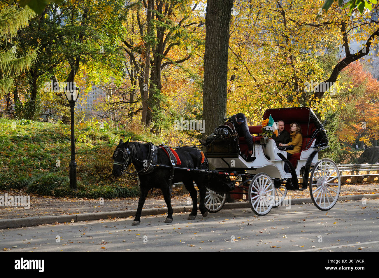 Horse carriage nyc hi-res stock photography and images - Alamy