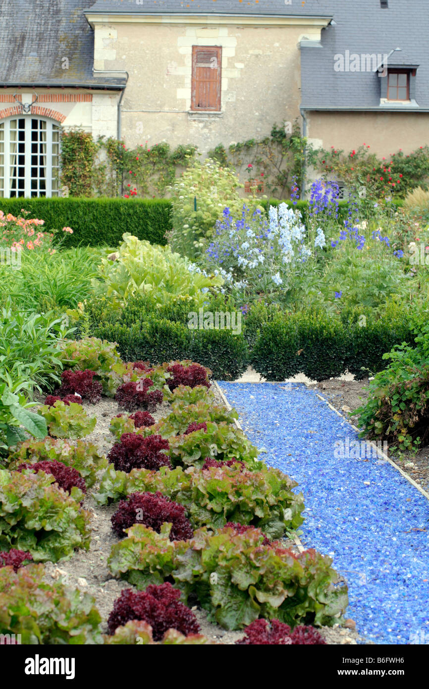 BLUE GRASS PIECES USED AS PATH SURFACING MATERIAL Stock Photo