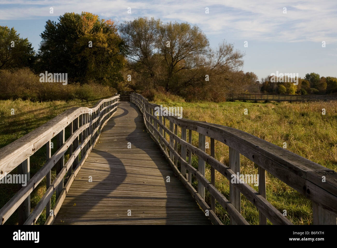 wooden walkway with railings over a marsh Stock Photo Alamy