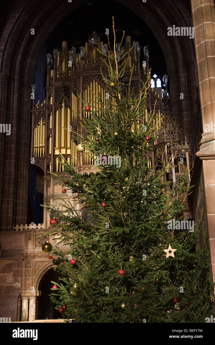 UK Cheshire Chester Cathedral Christmas tree in the Nave Stock Photo